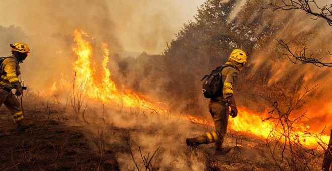 Intensos incendios azotan Galicia y ya provocan víctimas fatales.