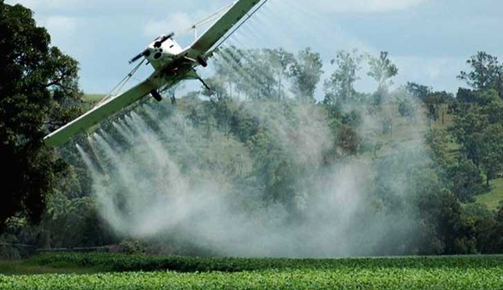 Europa renueva por cinco años la autorización del herbicida glifosato.