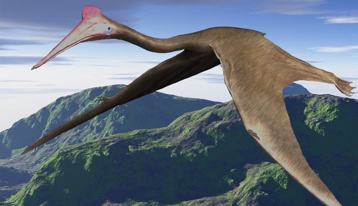 Imagen construida digitalmente de un pterosaurio.