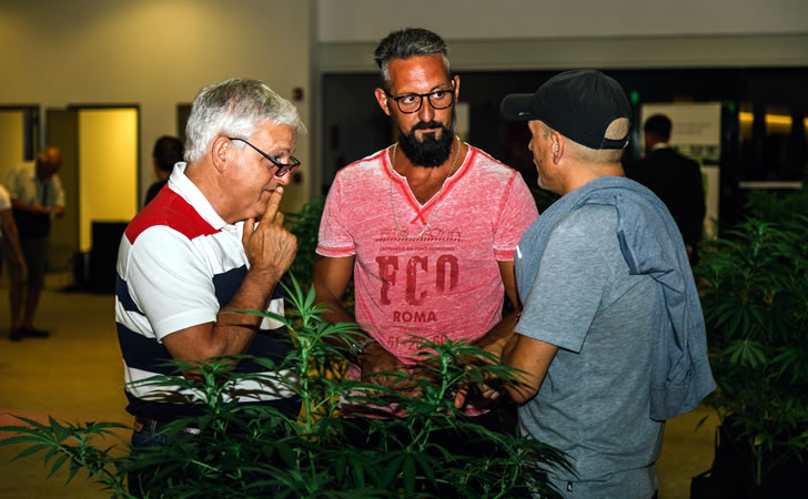 cannabis-conference-punta-del-este