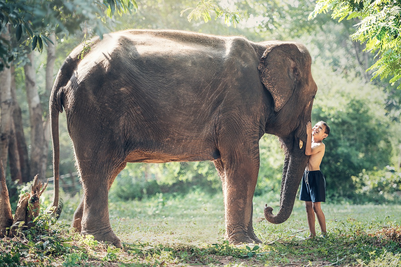 Un niño juega junto a un elefante africano. Foto: Pixabay