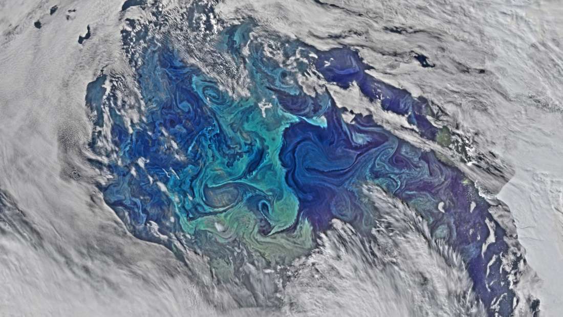Los océanos se están quedando sin oxígeno. Foto: NASA Goddard