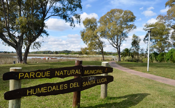 Parque Nacional de los Humedales de Santa Lucía / Foto: Intendencia Montevideo