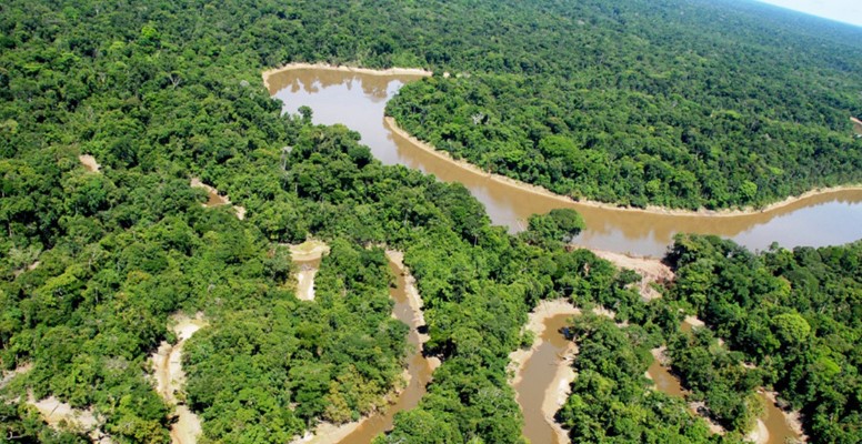Vista aérea del río Yaguas y el afluente Cachimbo. Foto: Alvaro del Campo, Field Museum