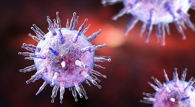 que-conoces-sobre-las-infecciones-por-herpes-virus
