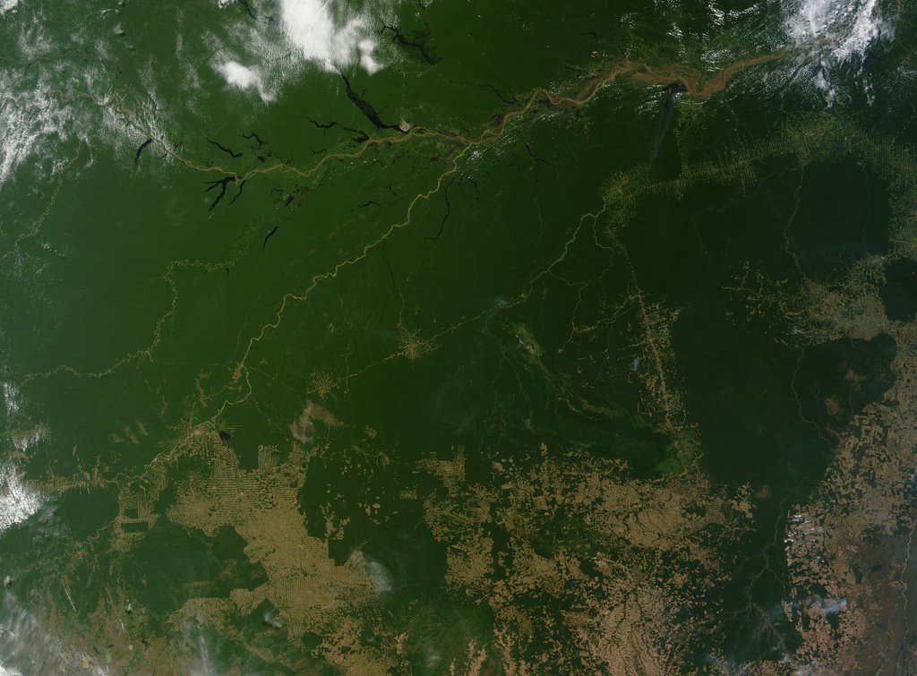 Foto tomada por la NASA en donde se ven partes de la Amazonia convertidas en pastizales o estepas (color marrón)