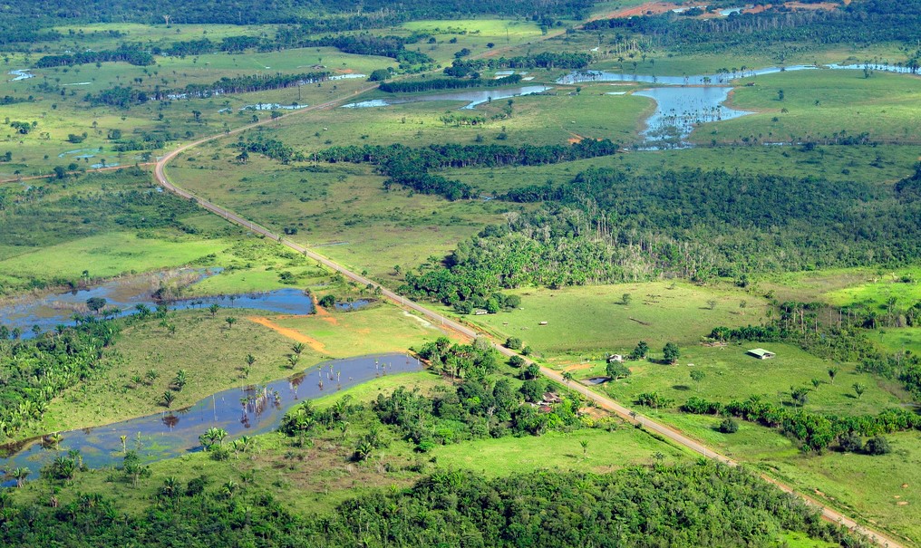 Vista de la Amazonia en Mamaus, Brasil, en donde se tala bosque para hacer pastizales para ganadería. Foto: CIAT