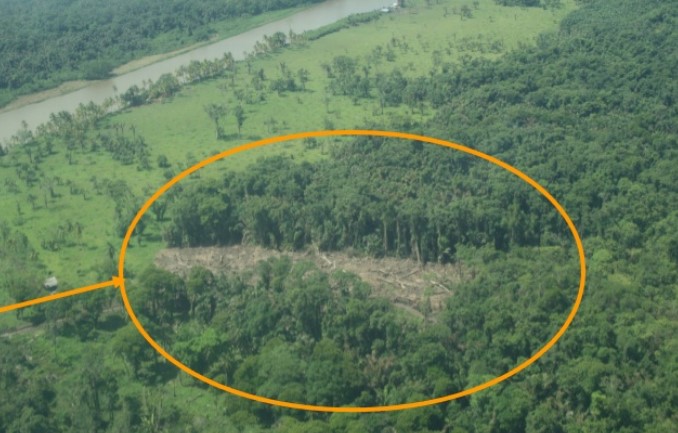 El Gobierno nicaragüense dañó de forma irreparable parte de la selva primaria de Isla Calero, según La Haya. Foto: Ministerio de Seguridad de Costa Rica