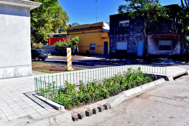 Jardines de lluvia / Foto: Intendencia de Montevideo /Jorge Sanchez