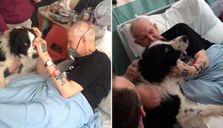 La emotiva despedida de un hombre y su perro en el hospital .
