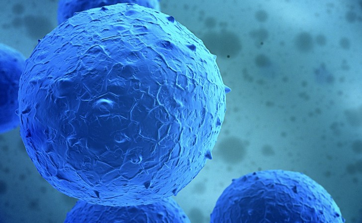Representación artística de una célula madre. Foto: brighamandwomens.org