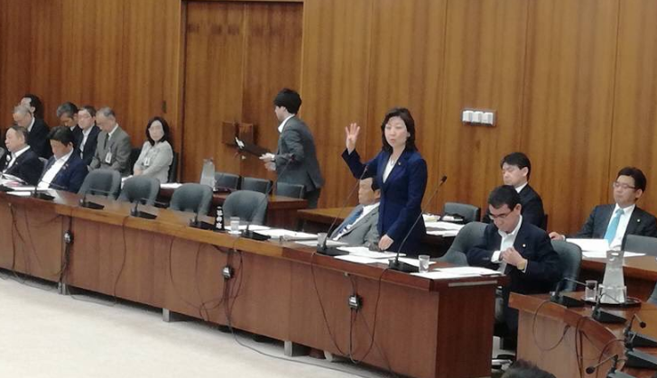 Japón promulga ley para promover participación de mujeres en la política. Foto: ministra Seiko Noda.