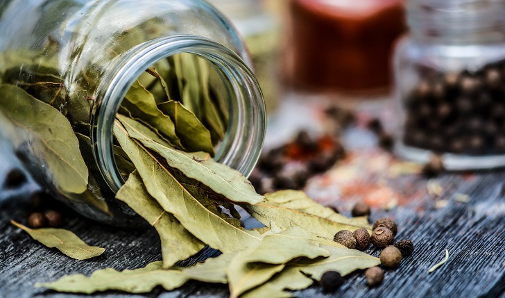 Beneficios de las hojas de  laurel para la salud. Foto: Pixabay
