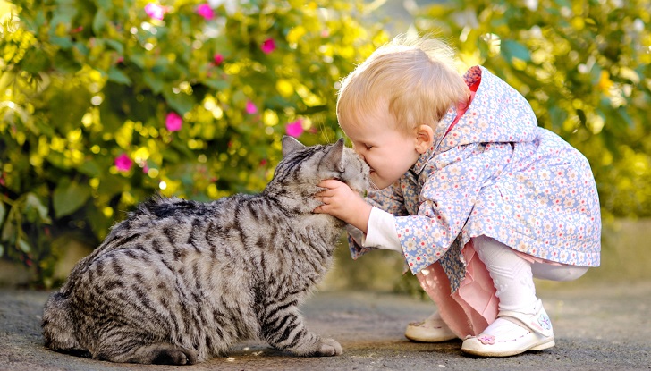 El maltrato hacia los animales puede indicar abuso infantil. Foto ilustrativa Pixabay