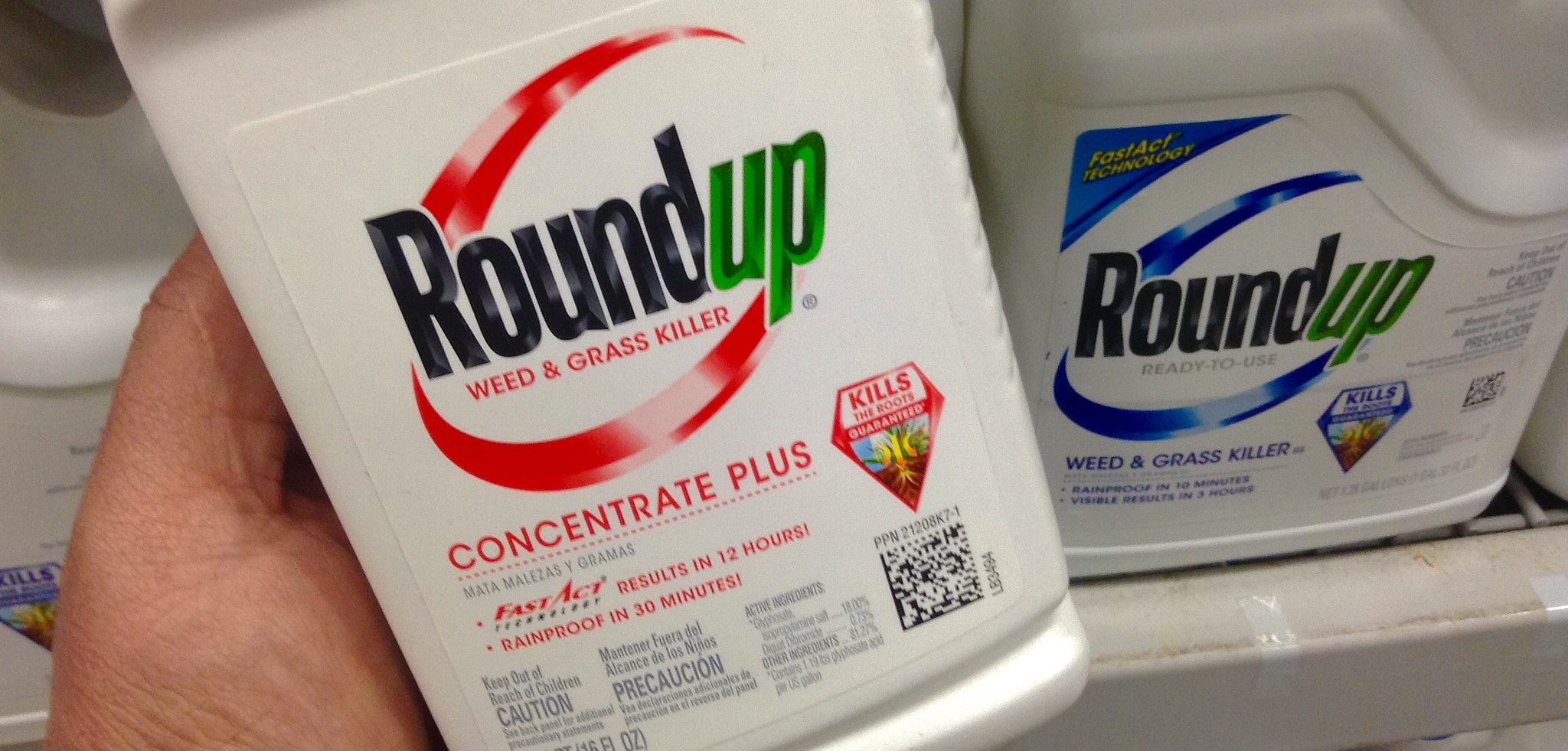 Roundup, herbicida hecho con glifosato, el producto estrella de Monsanto. Foto: Mike Mozart