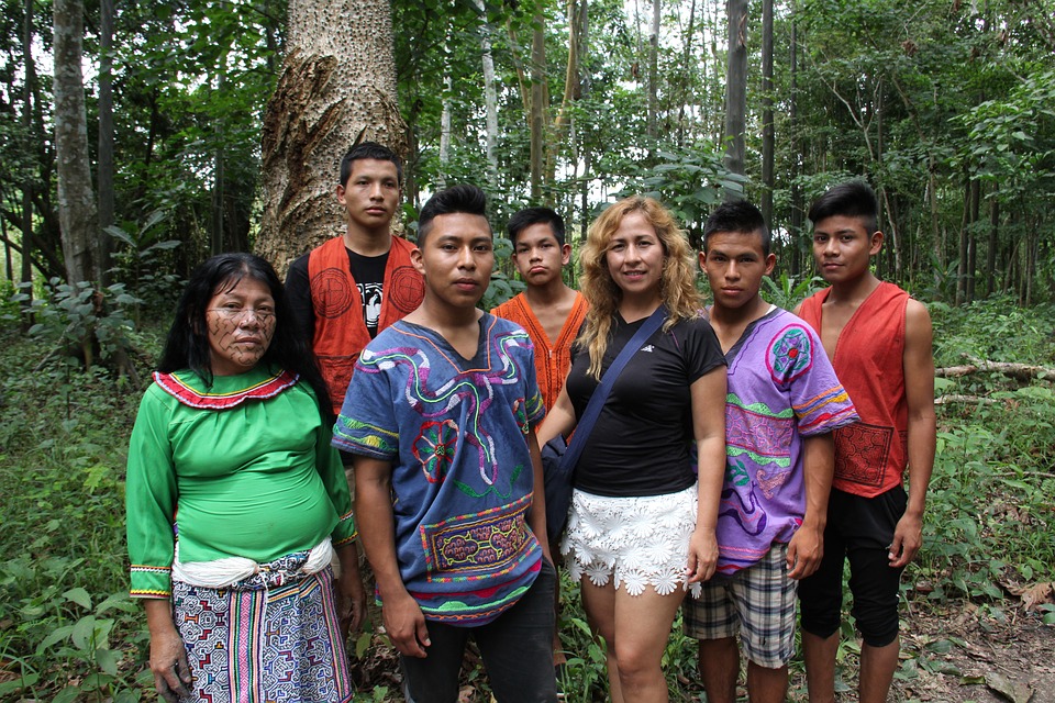 Bolsonaro ha amenazado a los aborígenes de sacarlos de sus territorios para impulsar la minería a cielo abierto. Foto: Pixabay