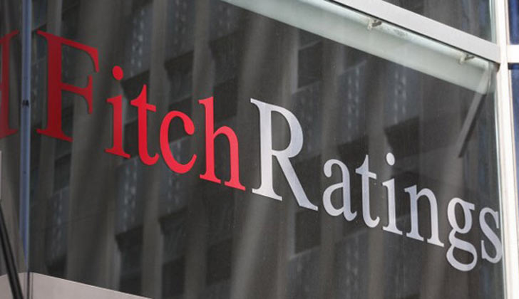 fitch (1)