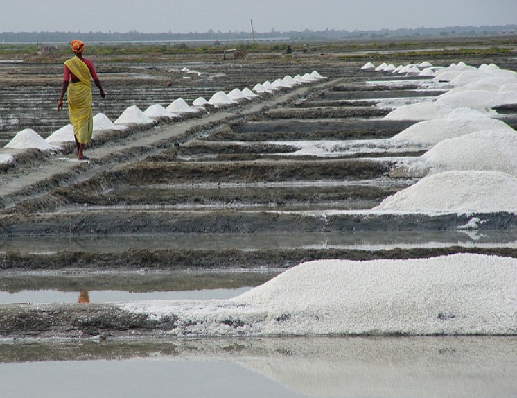 Una mina de sal en algún lugar de la ruta SH 49, en la costa este de India. Foto: Flickr / Mike Cross