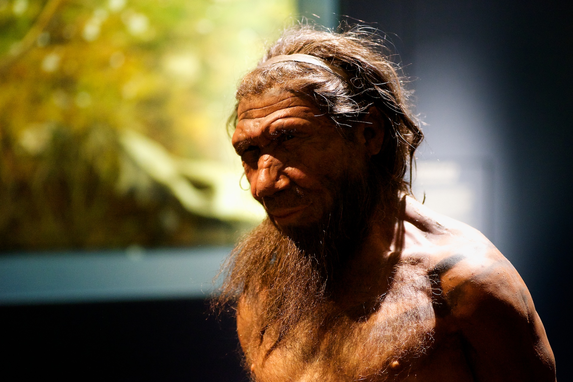 Nuestro "primo" el neandertal, representado en el Museo de Historia Natural de Gran Bretaña. Foto: Paul Hudson / Flickr 