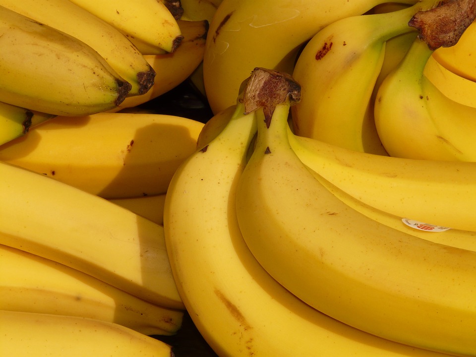 Banana del tipo Cavendish. Foto: Pixabay