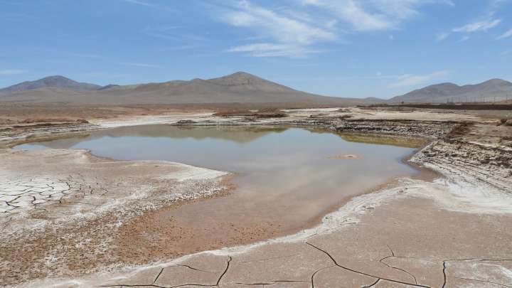 Un poso de agua residual de lluvia en el desierto de Atacama. Foto: Carlos González Silva