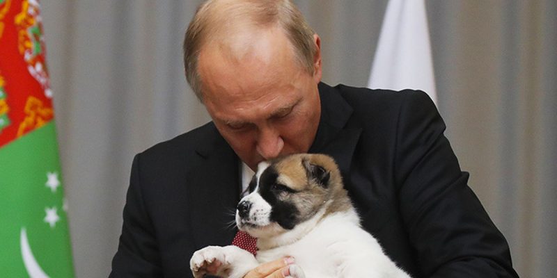 Vladimir Putin es amante de los perros