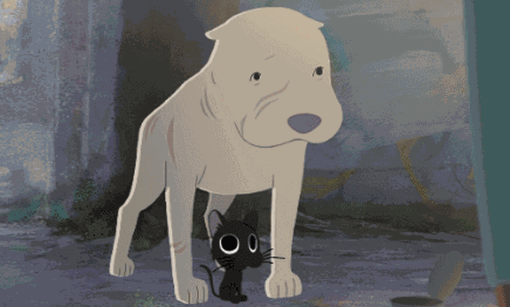 kitbull