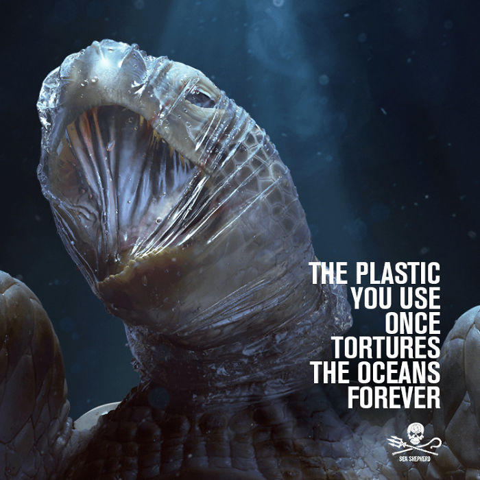 Plastic-pollution-at-sea-Sea-Shepherds-new-shock-campaign-5c8b2d0e8d178-png__700
