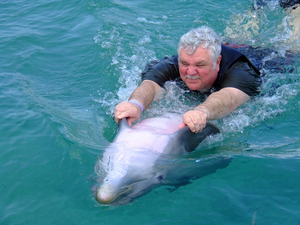 Un hombre adulto cuelga de las aletas de un delfín que nada boca arriba. Foto: Pixabay