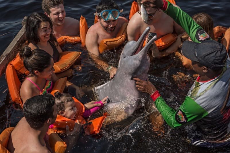 Un grupo de turistas asedian a un delfín. Foto cortesía de Kirsten Luce - National Geographic