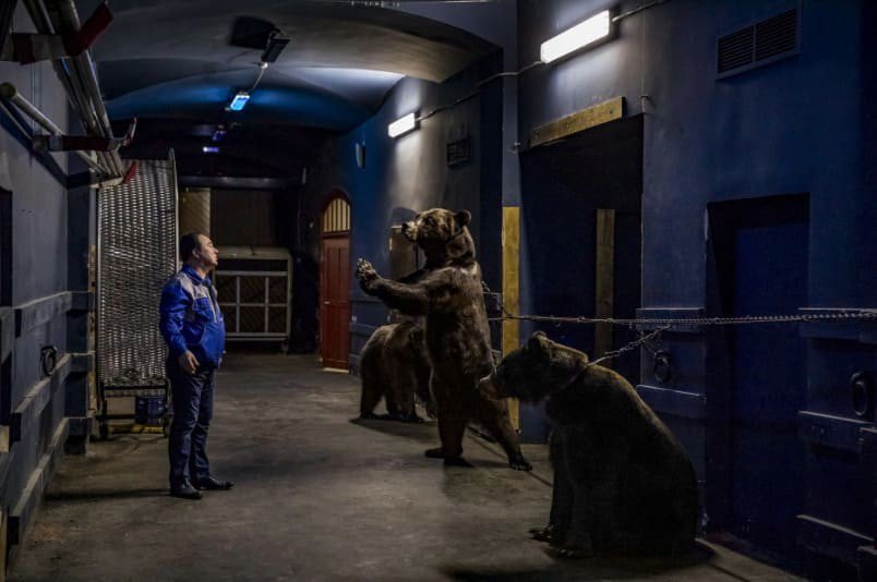 El dueño de tres osos encadenados y severamente maltratados los observa desde una distancia prudente. Foto cortesía de Kirsten Luce - National Geographic