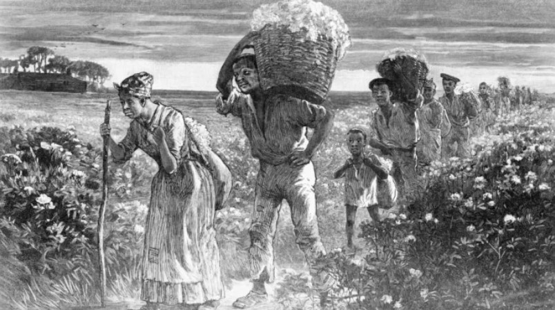 Esclavos afroamericanos vuelven de los campos de algodón con canastos llenos. Imagen: Bettmann Archives / Getty Images