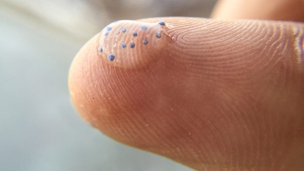 Piezas de microplásticos en una gota de agua. Foto: whoi.edu