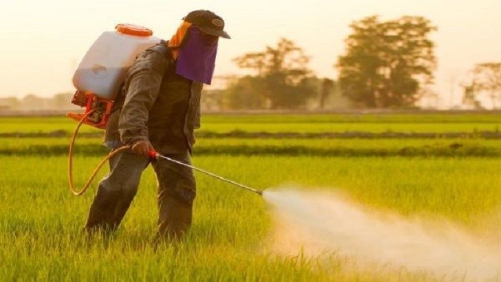En 200 días, Brasil lanzó más agroquímicos que la Unión Europea en ocho años