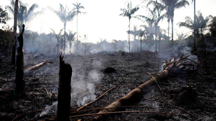 Bolsonaro ha culpado a las ONG por los incendios fuera de control en la Amazonia. Asegura que provocan los fuegos para recolectar dinero. 