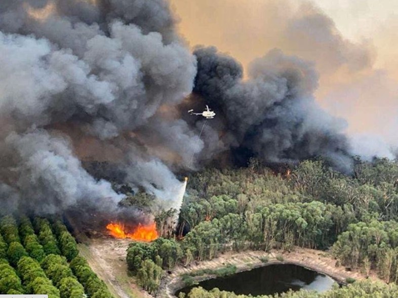 Foto: Servicio Rural de Incendios de Nueva Gales del Sur