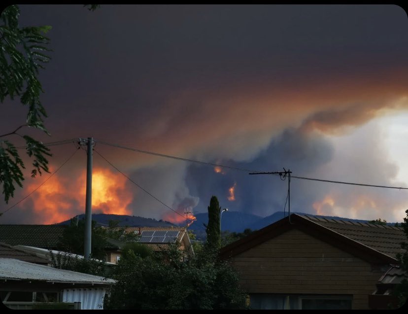 El fuego en Camberra. Foto: Twitter / @tamzy888