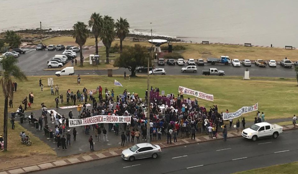 Un grupúsculo de negacionistas de la pandemia, inspirados por líderes conspirativos, se reunieron a protestar contra las vacunas frente a las letras de Montevideo. En el lugar aún habían flores de la despedida al fallecido alcalde del Municipio CH, Andrés Abt, quien sucumbió al COVID-19. Foto: Twitter / naranjaveloz