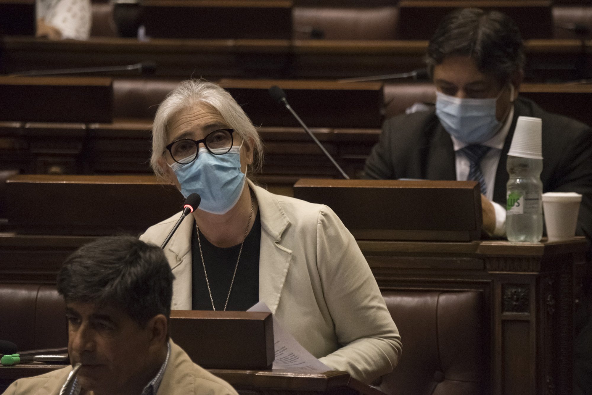Lucía Etcheverry, diputada del Frente Amplio por el sector MPP. Foto: Twitter / DiputadosUY