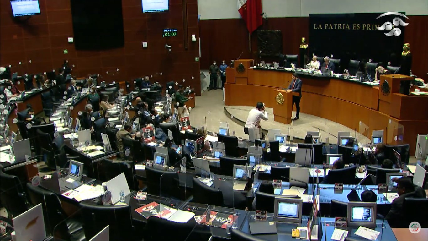 Foto: captura de pantalla del streaming del Senado de México