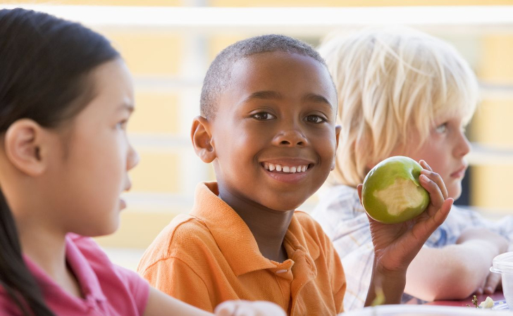 OGM transgénicos niños salud