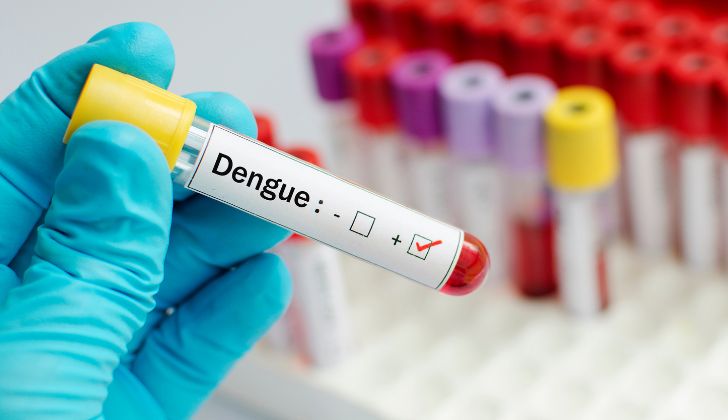dengue crisis cambio climático