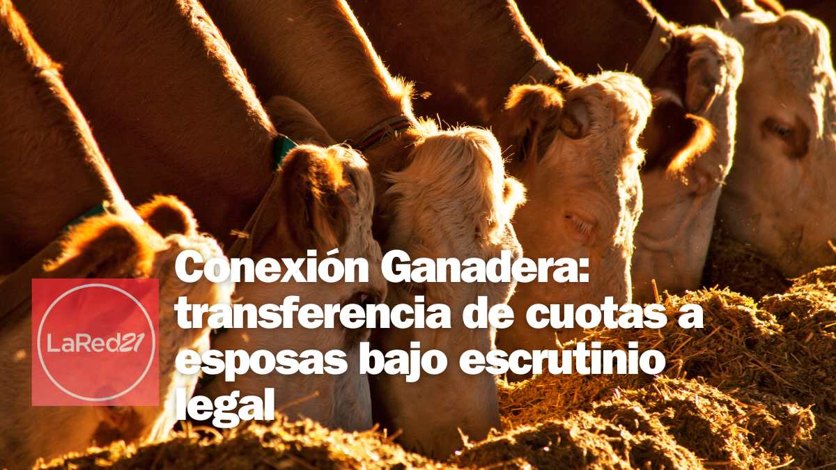 conexion ganadera pablo carrasco