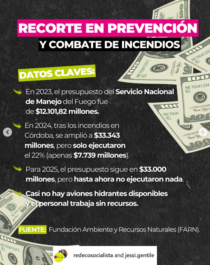 CrisisAmbientalArgentina