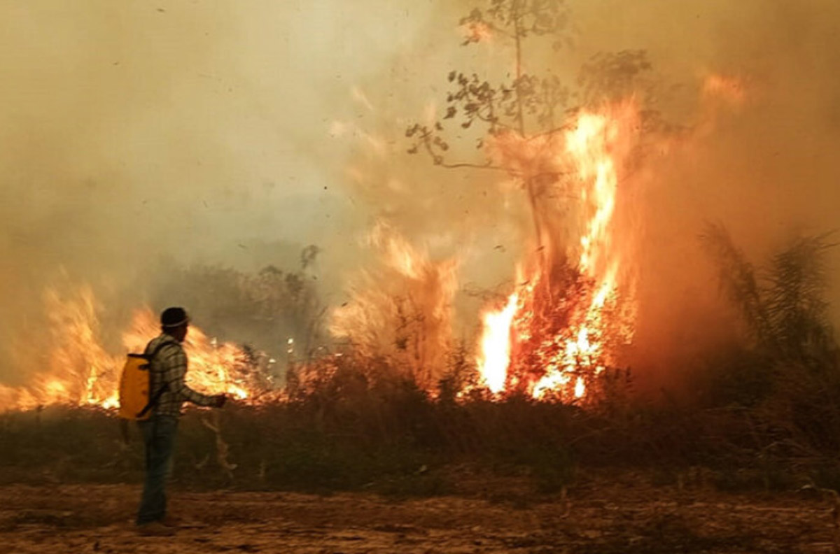 Incendio en la amazonía de Bolivia