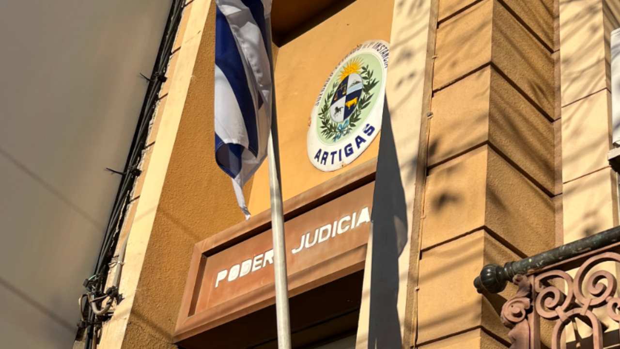Edil colorado suplente recibe pena por usurpar título de psicólogo