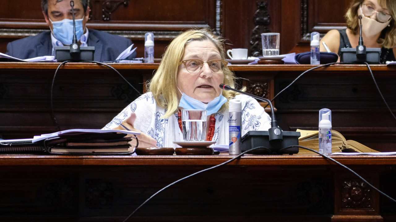 La senadora Bianchi cuestionó motivos de la derogación del decreto