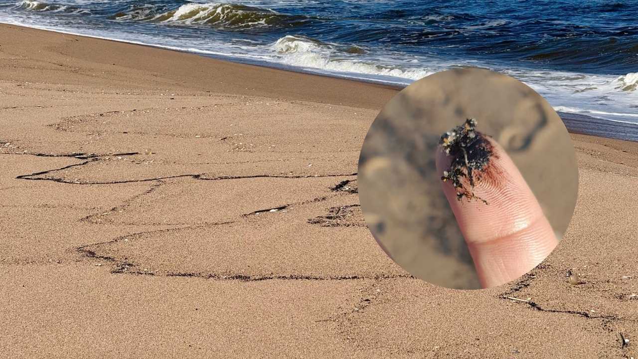 Fotografías tomadas de redes sociales (Laura do Carmo Iraola y @La_Pedrera)