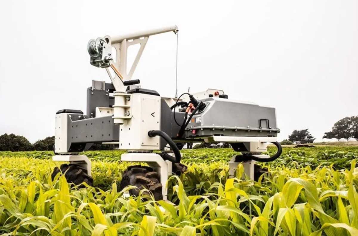 Bonsai Robotics