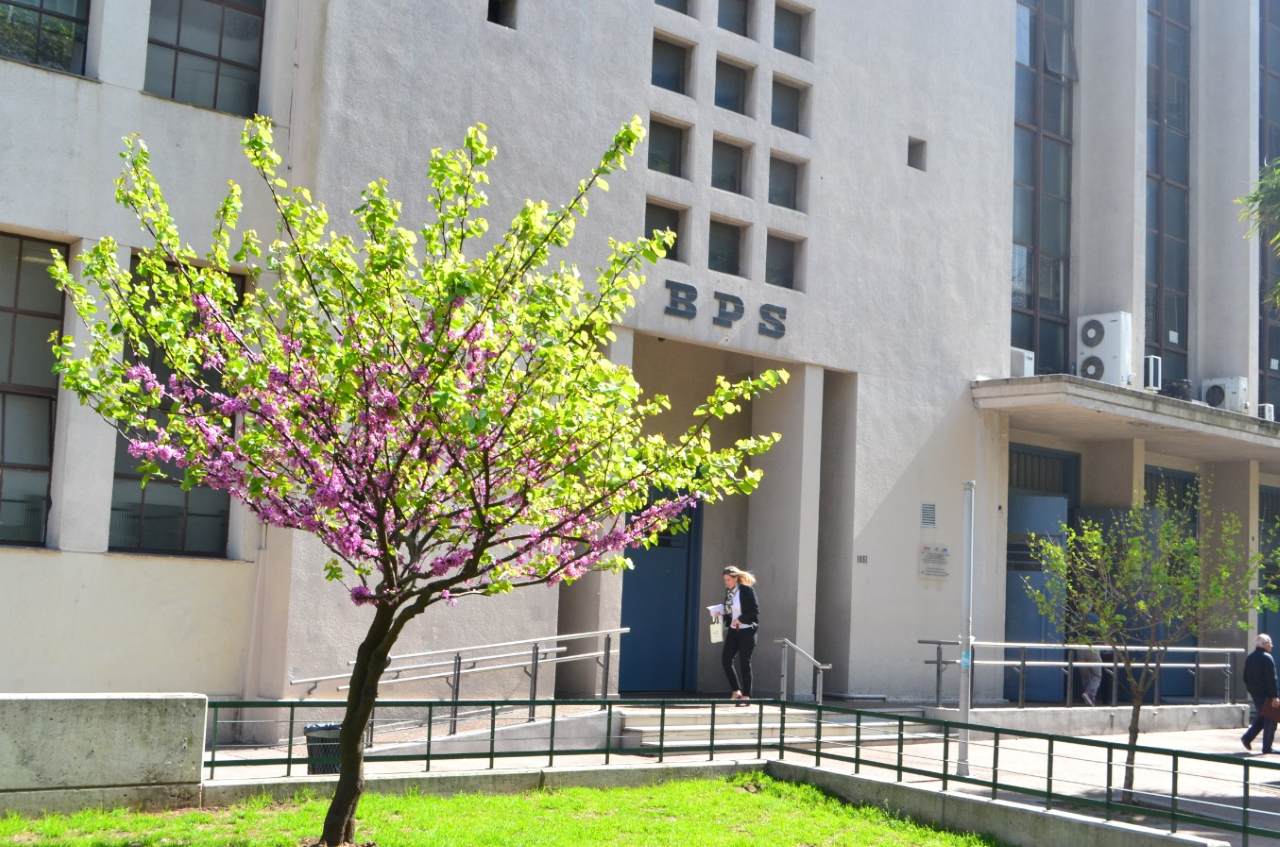 bps devolucion fonasa